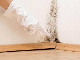 Mold Remediation for Rental Properties in Louisiana, MO